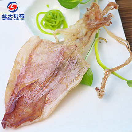 魷魚(yú)